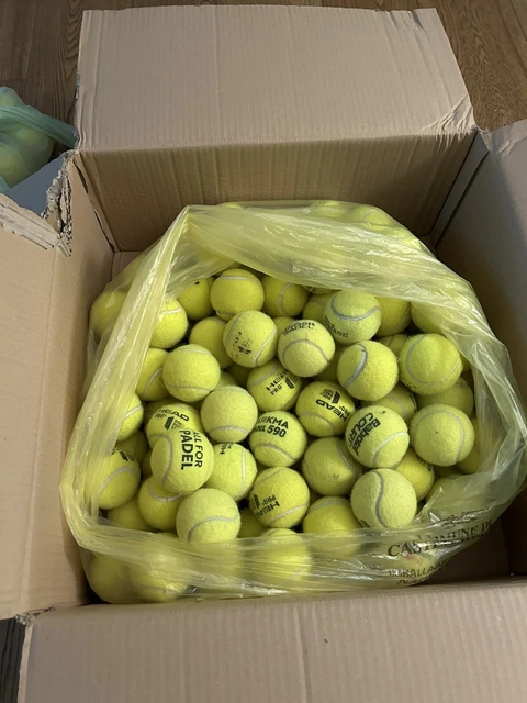 Set 36 Palle Palline Da Tennis Gialle Confezione Tennis Racchettoni