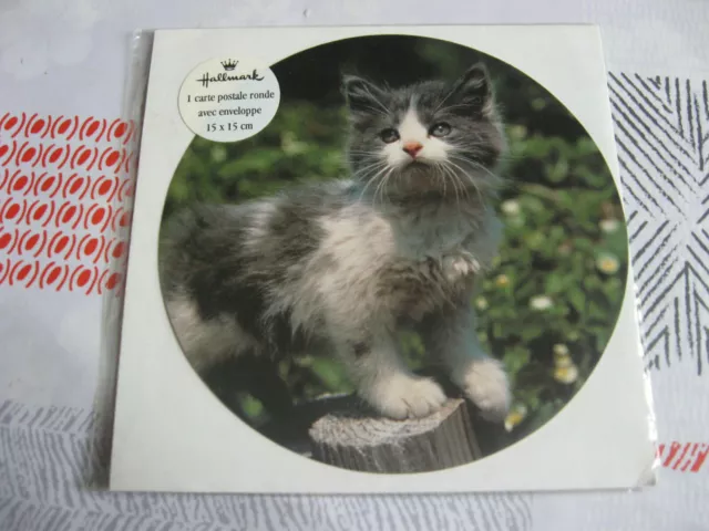 Carte Postale chat  ronde avec enveloppe neuve sous blister