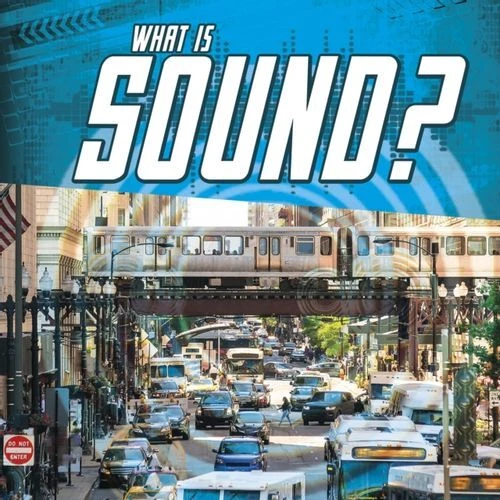 WHAT IS SOUND GC English Rake Jody S. Capstone Global Library Ltd