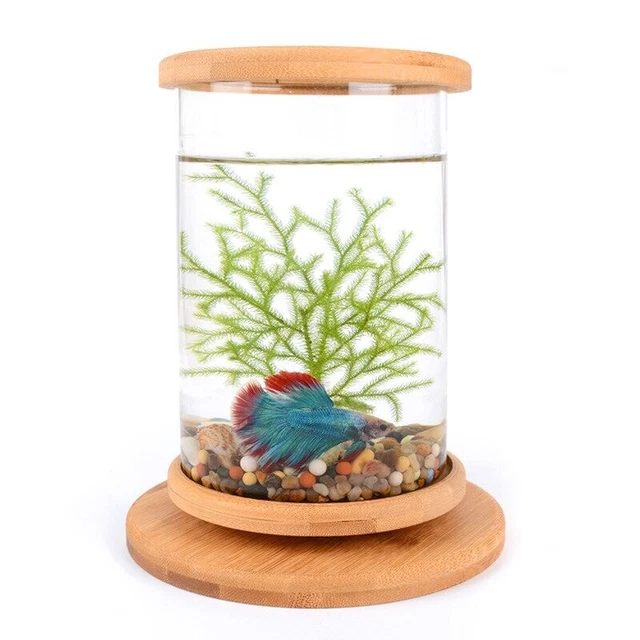 Bamboo Base Fish Tank Aquarium Accessories Mini Fish Tank Home Decoration Glass