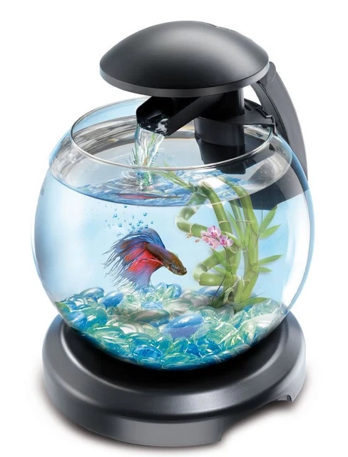 Globe aquarium deals fish tank