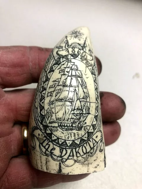 Scrimshaw Reproduction Tooth  " Dakota" Out Of Nantucket