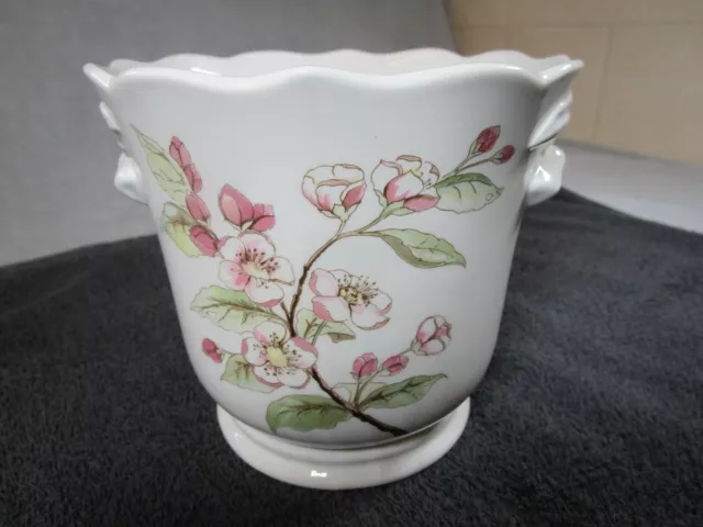 Lovely Vintage Royal Winton Pottery Plant Pot Holder Apple Blossom Flower Design