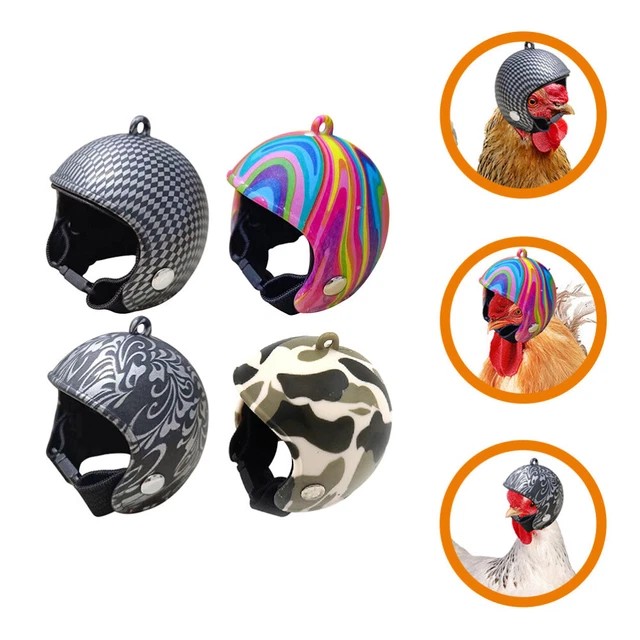 Motorradhelm Für Hunde Hähnchen Sicherheitshut Schutzkappe 4 Pcs
