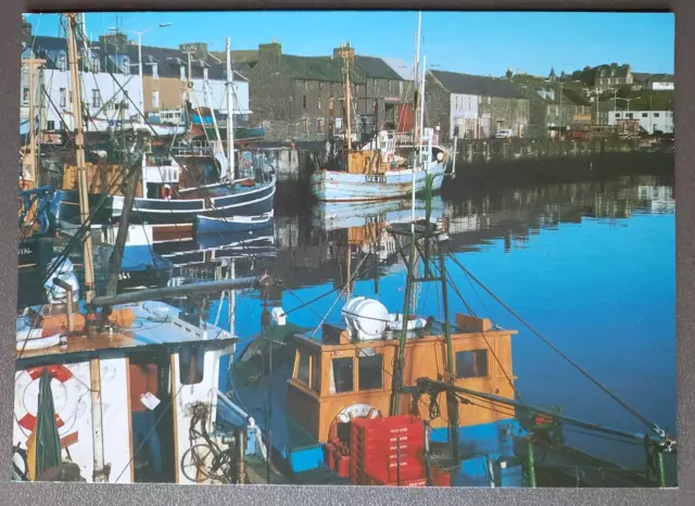 Postcard Wick Harbour,Caithness,Scotland,boats,Postmark leicester 1989