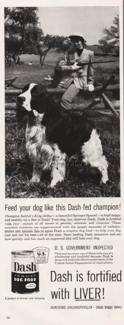 1954 Dash Dog Food Armour Champion Salilyns King Arthur Springer Spaniel Pic Ad