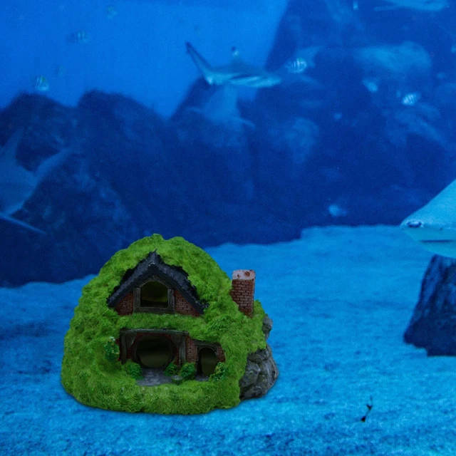 GROTTE SOUTERRAINE POUR Aquarium : Abri Pour Poissons Crevettes