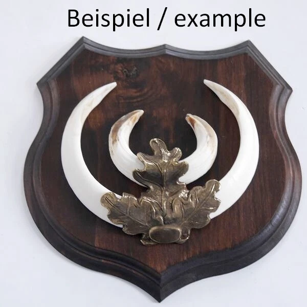 5x Wappenschilder Jabalí Af 19cm Escudo de Trofeo Hoja de Roble Portada Grande 2