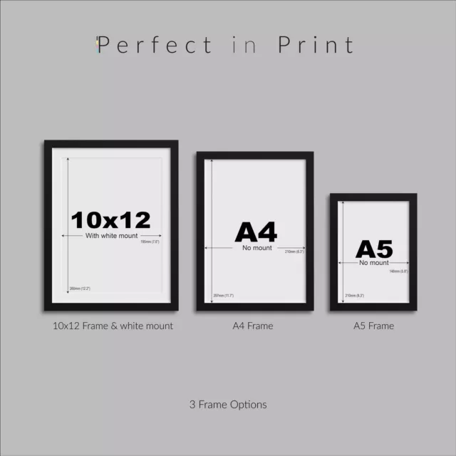 Abstract Wall Art Set of 3 Framed Modern Prints Nordic Designs Geometric Posters 2