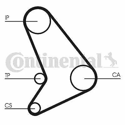 Continental Kit De Distribution Pour Ford Transit Autobus/Autocar 2.5 D