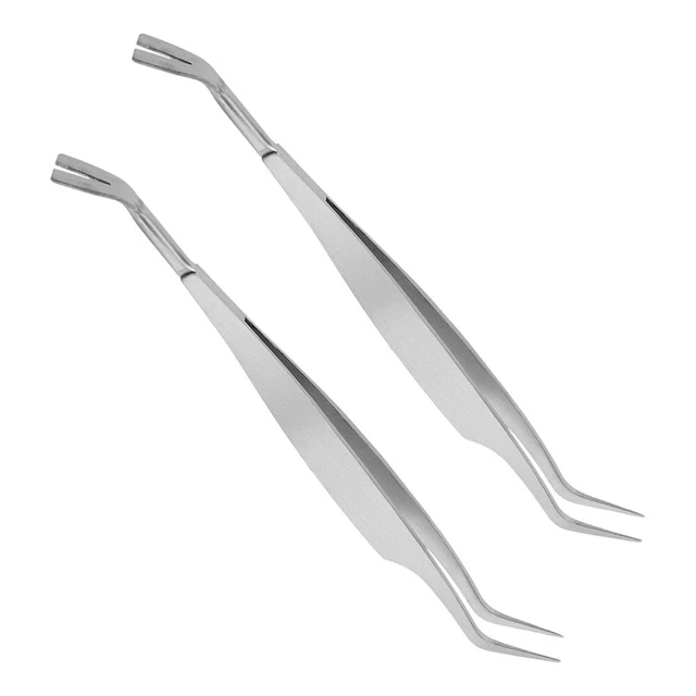 2 Pcs Gebogene Zange Aus Edelstahl Pinzette Reinigungswerkzeuge Kamm