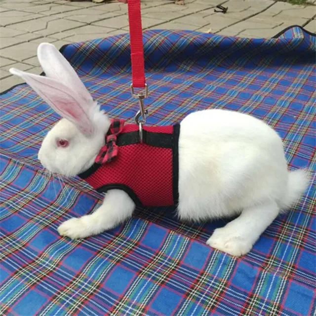 Pet Mesh Soft Harness With Leash for Hamster Rabbit Bunny Small animal B~7H 3