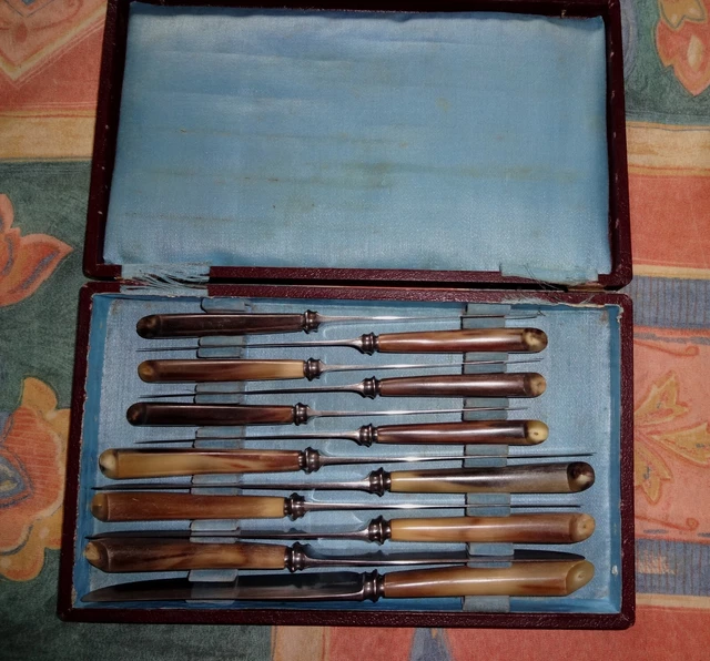 Coffret De 12 Couteaux Anciens Gravés Paris, Manche En Corne, Vintage