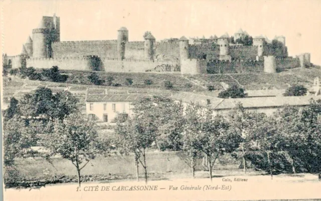 C.p.m /Département Du 11 Aude /Cite De Carcassonne Vue Générale