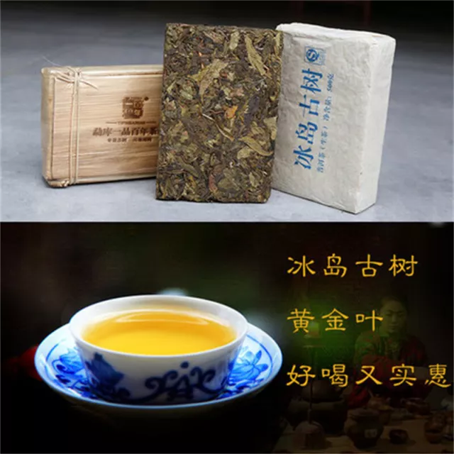 500g Puerh Cha Tea Brick Golden Leaf Bingdao Ancient Tree Candy Sweet Tea Yunnan