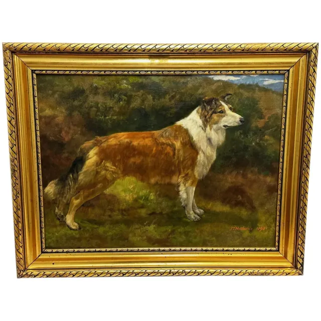 Victorian Oil Painting Rough Scottish Collie Dog By John Trivett Nettleship