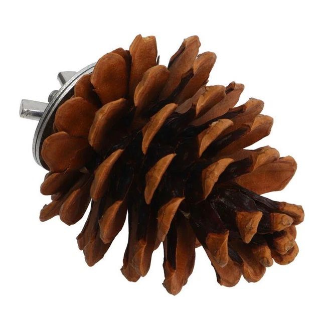 Bird Bite Pine Cones Toy Natural Chewing Parakeet-10pc