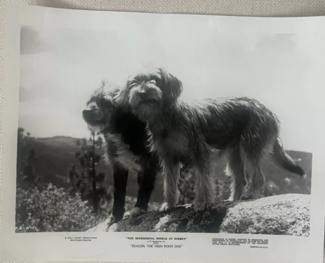 Wonderful World of Disney Movie "Deacon the High Noon Dog" press photo