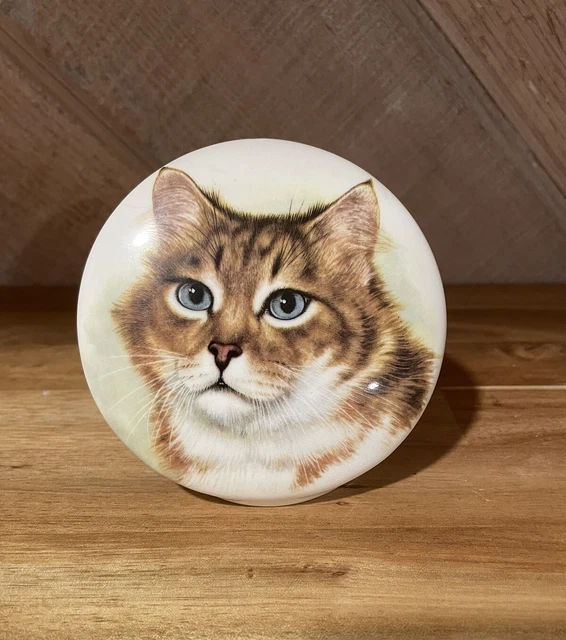 Vtg. Crown Staffordshire Kitty Cat Painting - Bone China On Round Display Stand