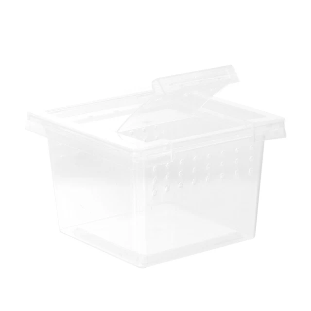 Caja de alimentación transparente pleástica para reptiles araña terrario salto alimentación de arañas