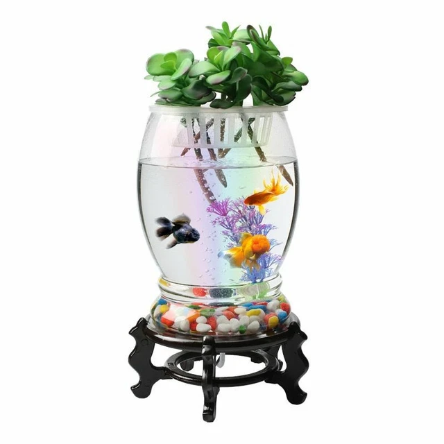 Wall Mount Acrylic Plexiglass Fish Bowl Hanging Aquarium Tank Betta Fish 10