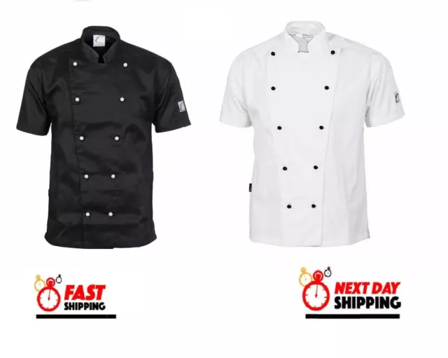 Traditional Chef Jacket Short Sleeve DNC Work Wear 1101