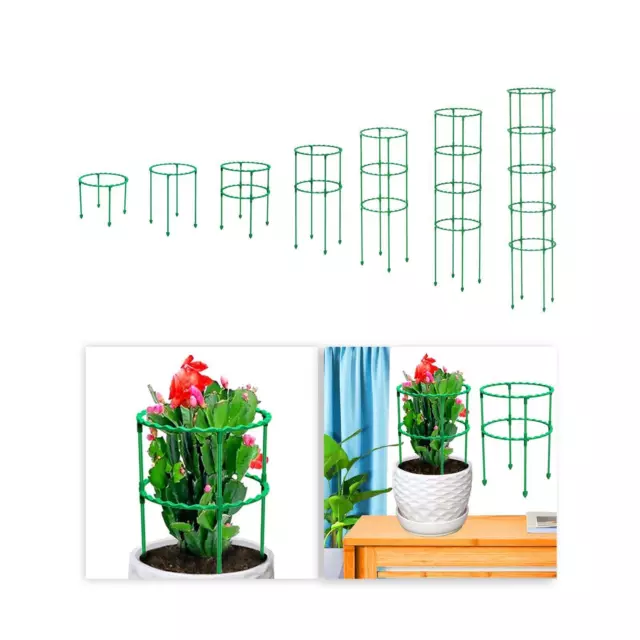 Cages et supports de plantes Support de plantes de jardin Piquets pour pots