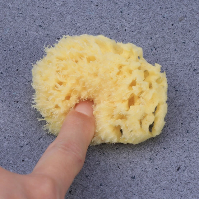 Paquete de 2 esponjas de baño esponja natural animal panal esponja de lavado química