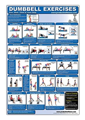 LAMINATED DUMBBELL EXERCISE POSTER/CHART - LOWER By Andre Noel Potvin BRAND NEW