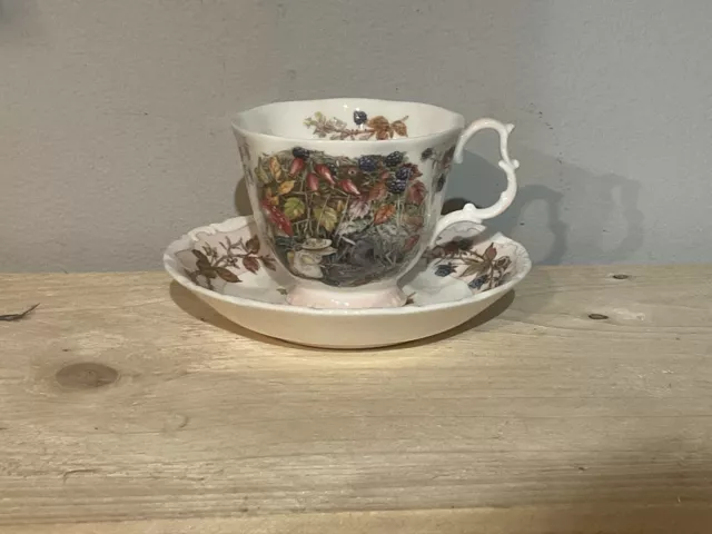 Royal Doulton BRAMLEY HEDGE Autumn Cup And Saucer