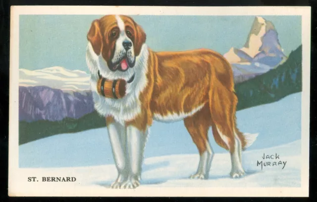 1940s SAINT BERNARD Dog Cereal Card KELLOGGS F273-6 USA Dog Card Shredded Wheat