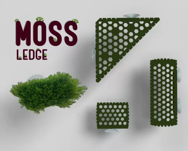 Ledge for Moss or Rhizome Plants, Surface for Moss and Plants, Aquarium