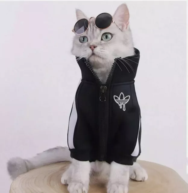 Abbigliamento gatto vestiti invernali felpe con cappuccio abiti gattino cappotti gatto giacca moda cappotto