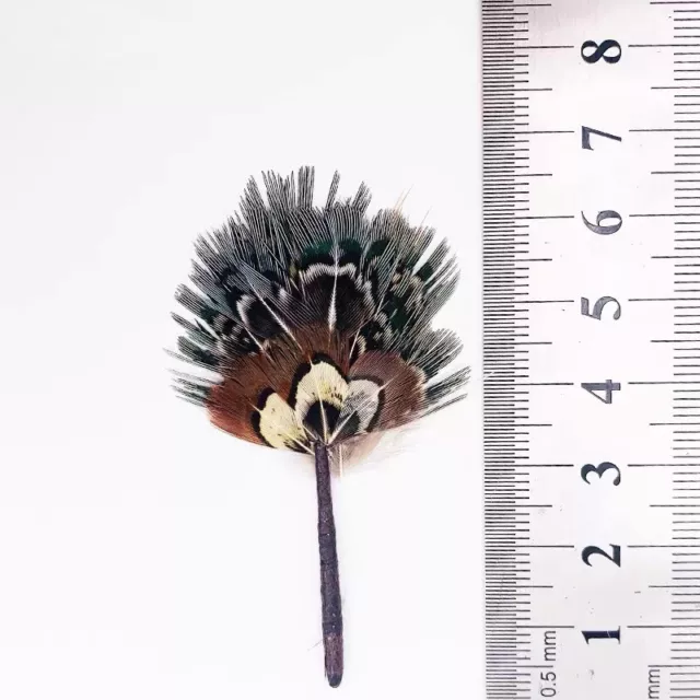 Japan Handmade 1:6 Scale Dollhouse Miniatures Vintage Feather Fan Accessories