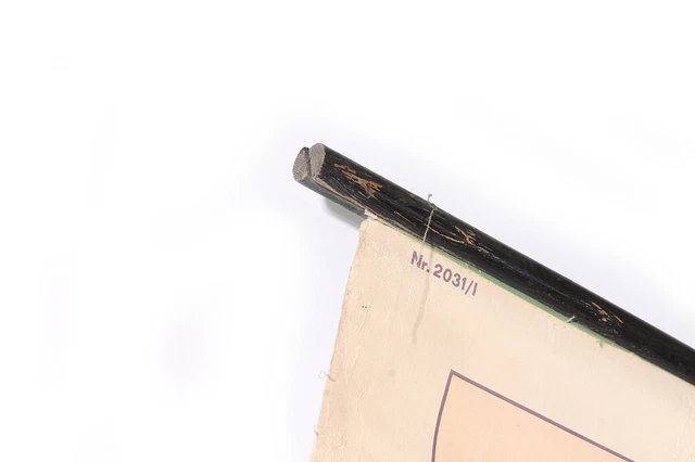 LAVAGNA DIDATTICA CARTINA da Parete Mappa Ruolo Mappa Kettenreaktion