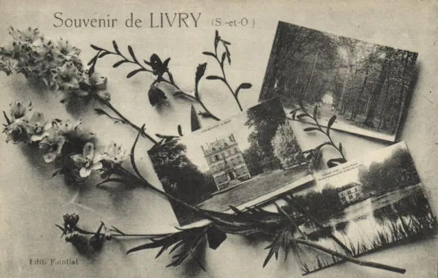 Souvenir de LIVRY CPA Saintry - L'Arcadie (180232)
