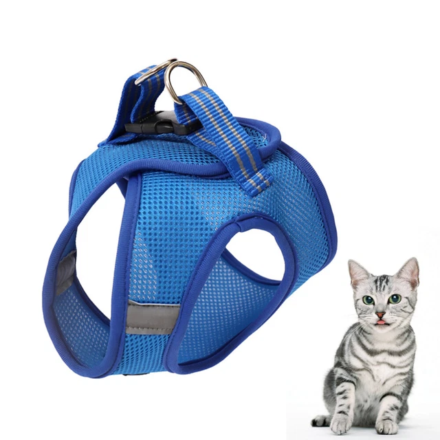 Rabbit Harness Cat Leash Rabbit Harness Kitten Harness