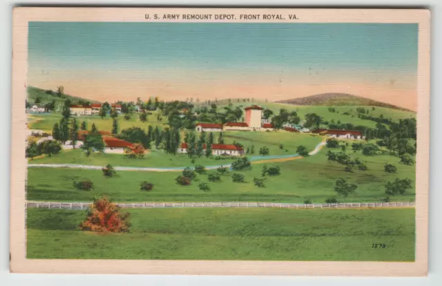 Postcard Linen US Army Remount Depot Front Royal, VA