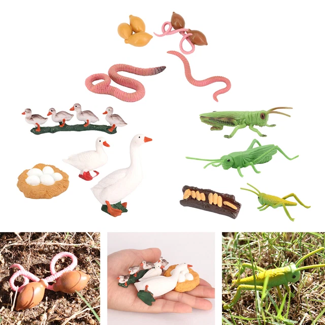 Figurines Cycle De Vie Des Escargots - Kit éducatif Biologie Pour Enfants, Jouet Pédagogique Croissance Animaux