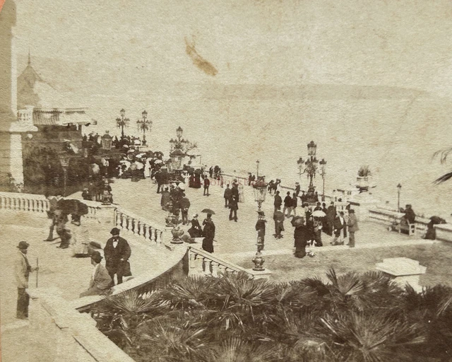 Monaco Monte-Carlo Terrassen Gardens Photo C1870 Stereo Vintage Albumin