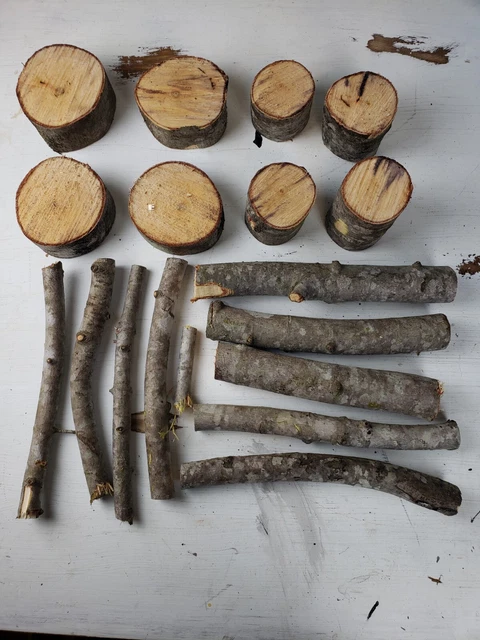 Wood chunks for crafts, or carving, wood turning, poplar