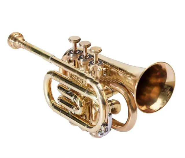 WEEKEND SALE New Brass  Bb flat Pocket Trumpet Free Hard Case Mouthpiece