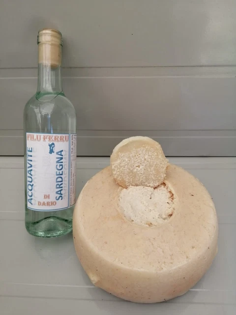 Casu Marsu "Formaggio con i Vermi forma - Acquavite "FiluFerru" di Sardegna
