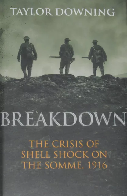 SHELL SHOCK SOMME WW1 British Army Soldiers History NEW War Horror Western Front