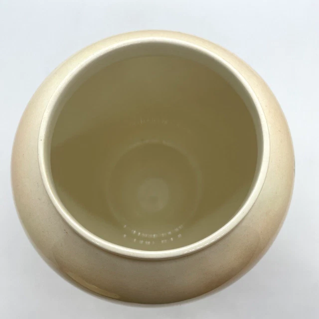Royal Worcester Palissy Royale Collection Obst Ingwer Glas Urne Vase Topf Ornament 7