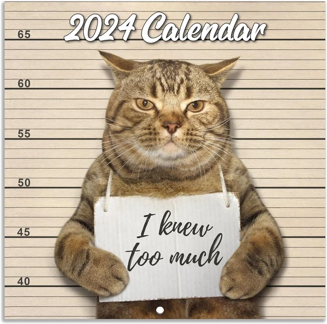 FUNNY CAT CALENDAR 2024 Wall Calendar Gag Gift Funny Cat Memes Pics 14