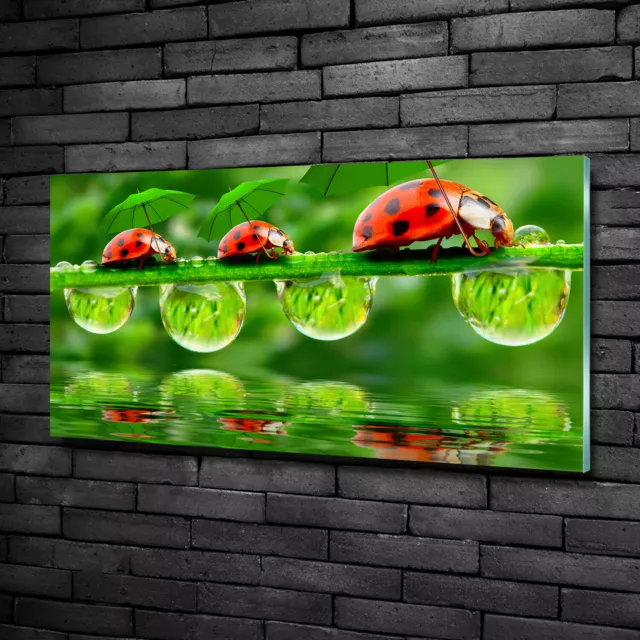 Wandbild aus Plexiglas® Druck auf Acryl 100x50 Tiere Marienkäfer