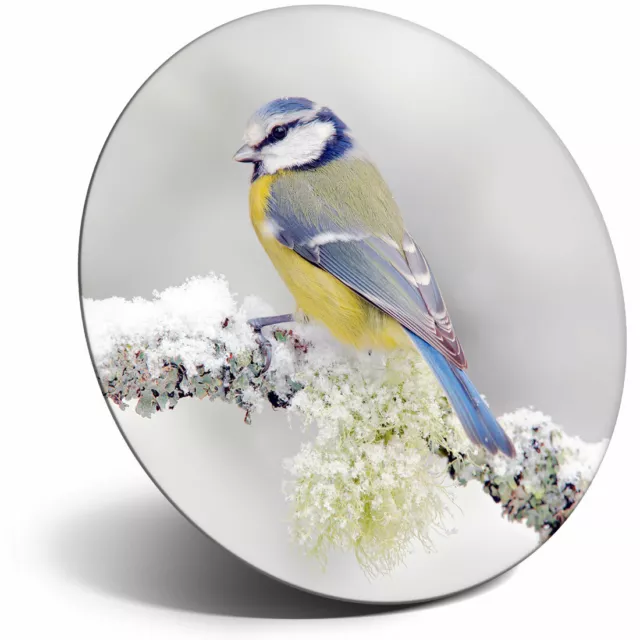 Awesome Fridge Magnet - Beautiful Blue Tit Bird Cool Gift #15663