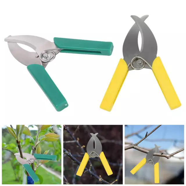Ciseaux coupe-aboiement en anneau, outils de taille pour le jardin