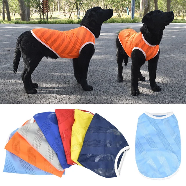 1 pz gilet cane animale domestico t-shirt abbigliamento gatto XS S, M,L,XL,2XL \\ E